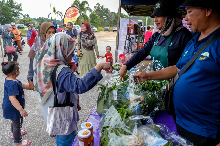 RM10 Madani Combo Big Hit At Farmers' Market | New Straits Times ...