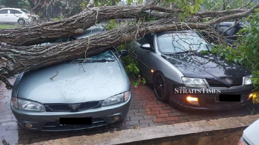 Five vehicles that were parked in the parking lot of a supermarket in Taman Yayasan, Segamat were damaged by a fallen tree during a storm. -NSTP/AHMAD ISMAIL