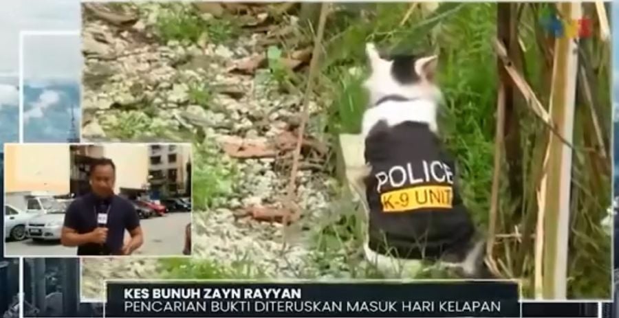 A screen capture from a video report shows a cat near an investigation area. This has led some internet users to wonder if Malaysian police have a feline unit. 