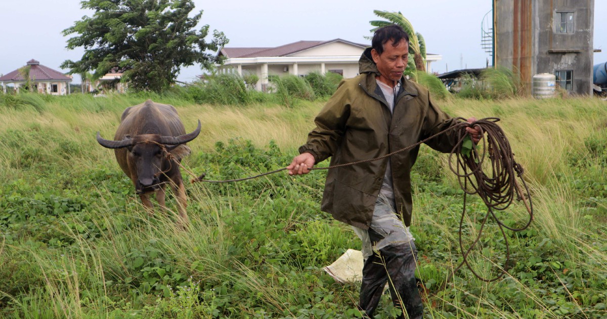 Typhoon Doksuri Intensifies Into Super Typhoon, Threatening Northern ...