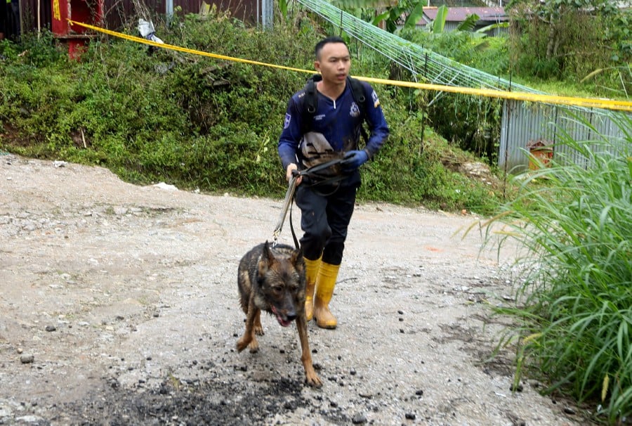 Two tracker dogs (K9) belonging to fire department were also mobilised to assist in the operation. -NSTP/ L. MANIMARAN
