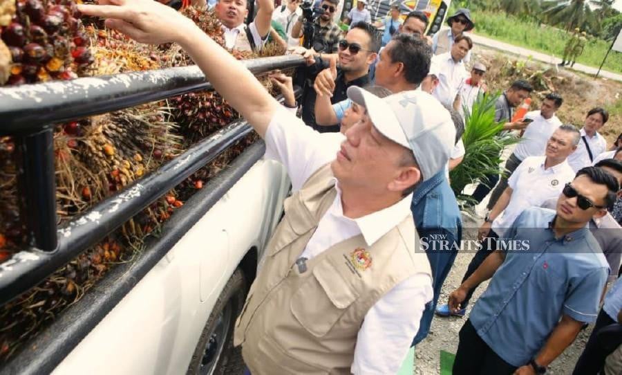 Malaysia recorded agricommodity export value of RM117 billion up to September 30 this year, said the Plantation and Commodities Ministry (KPK). -NSTP/NADIM BOKHARI