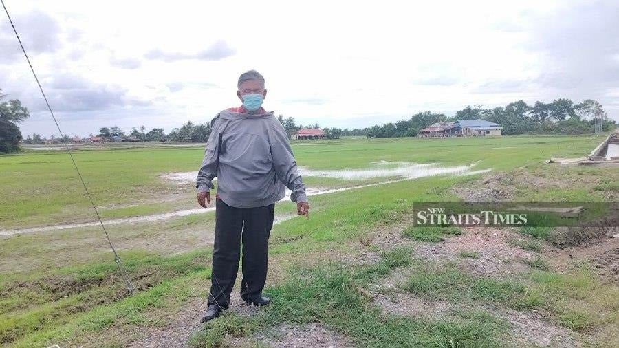 Mat Zuki Deris of Kampung Kubang Panggas pointing to the spot where he discovered an abandoned baby girl on his way back after dropping his wife off at work in the city at 7.30am. -PIC COURTESY OF READERS