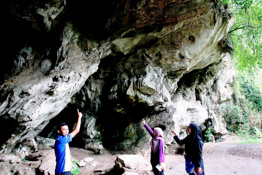 Within the large karst outcrop of Bukit Kepala Gajah are Gua Kelawar, Gua Harimau and Gua Gunung Runtuh, where Perak Man was discovered. -BERNAMA PIC