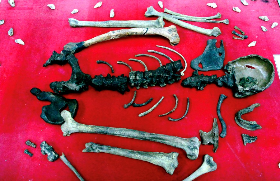 Several historical artefacts discovered at the site contained evidence of the earliest human settlement in Peninsular Malaysia, including the world famous ‘Perak Man’, the name given to the skeletal remains of a man believed to have lived during the Palaeolithic era. -BERNAMA PIC