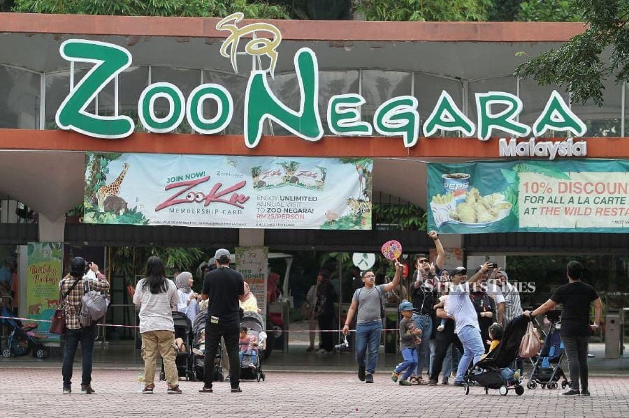 Zoo Negara Urged To Come Up With Viable Business Plan